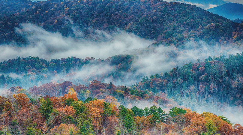 Great Smoky Mountains (Tennessee) Day Hike